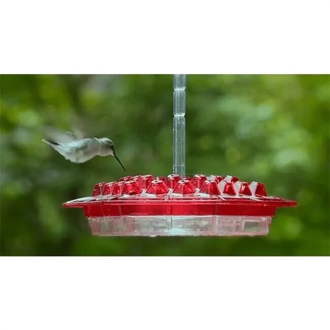 🎉 Last Day Promotion-50% OFF 🎉 Sweety Hummingbird Feeder