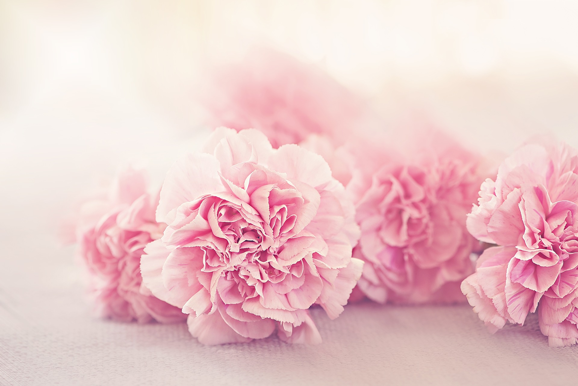 Pink Mood