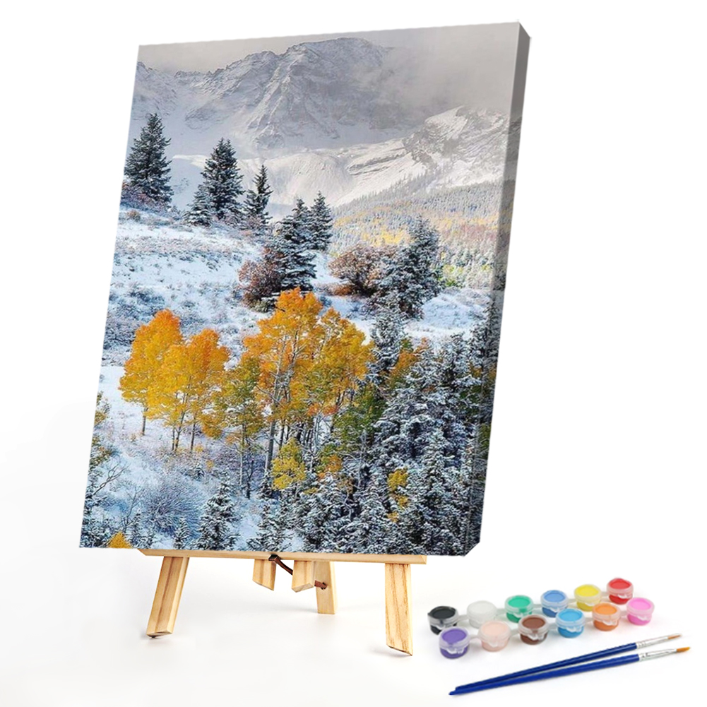 

40*50CM - Paint By Numbers - Mountain Snow, 501 Original