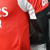 2025/2026 Player Version Benfica Home Football Jersey 1:1 Thai Quality love fball