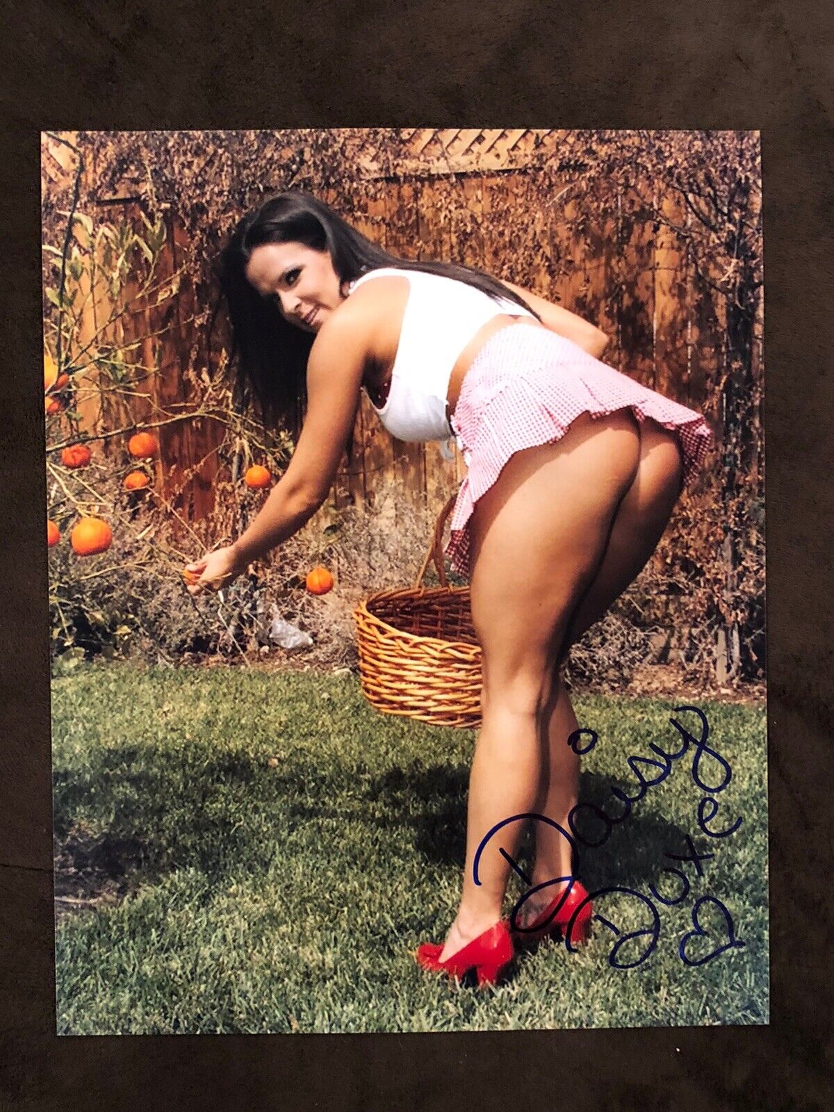 Daisy Duxe Adult STAR Hand SIGNED 8X10 Photo Poster painting AUTOGRAPH Sexy Booty Model AVN Rare