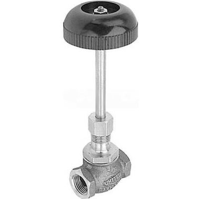 Steam Valve, 3/4" FPT, For Cleveland, 22198