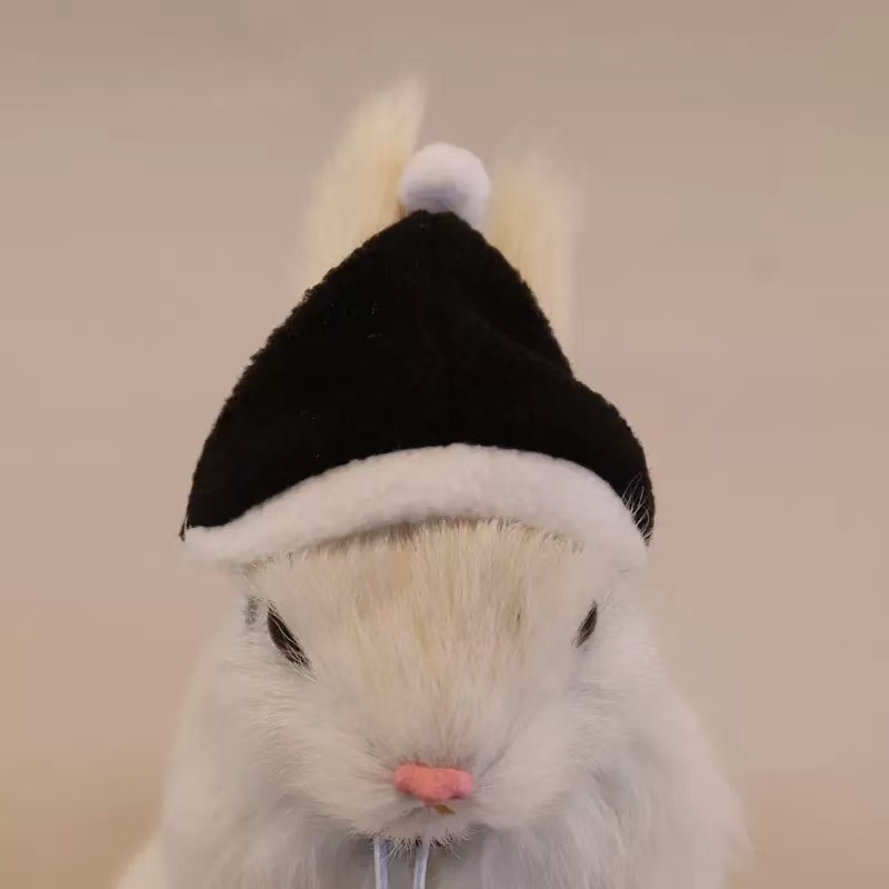 Small Pet Hat For Exotic Pets