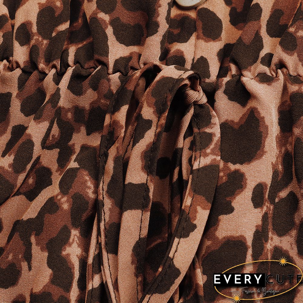 Khaki Leopard Print Tie Waist Flared Long Sleeve Dress