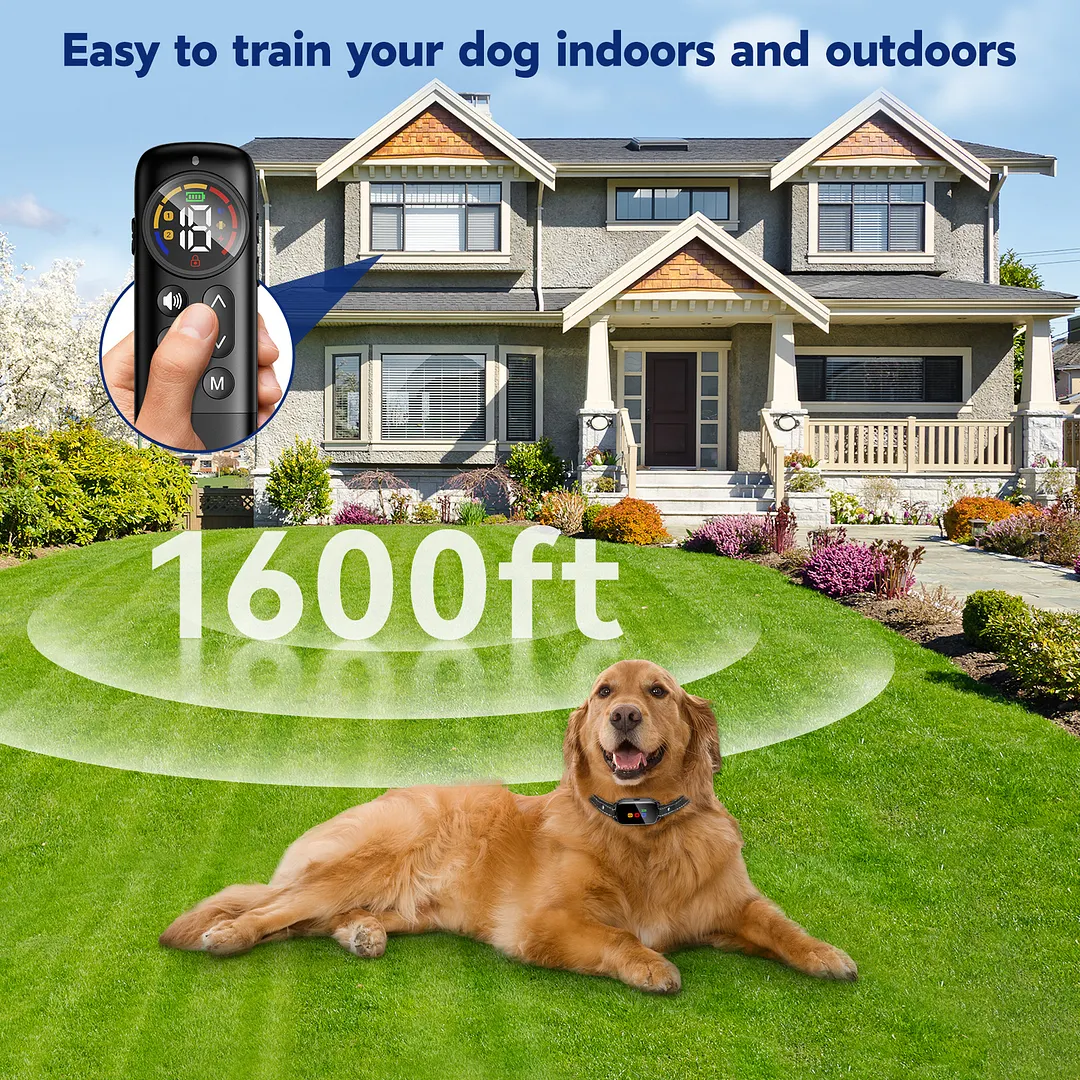 BEBANG Dog Training Collar with Remote, Waterproof Shock Collar with 3 Training Modes for Large Medium Small Dogs, Security Lock
