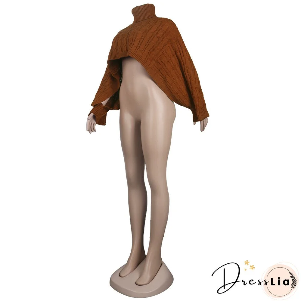 Solid Color Turtleneck Bat Sleeve Sweater Crop Top