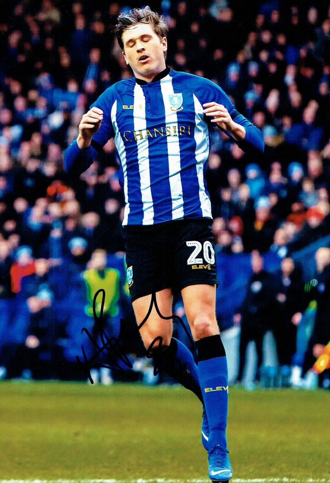 Adam REACH Sheffield Wednesday SWFC SIGNED 12x8 Photo Poster painting 1 AFTAL COA OWLS