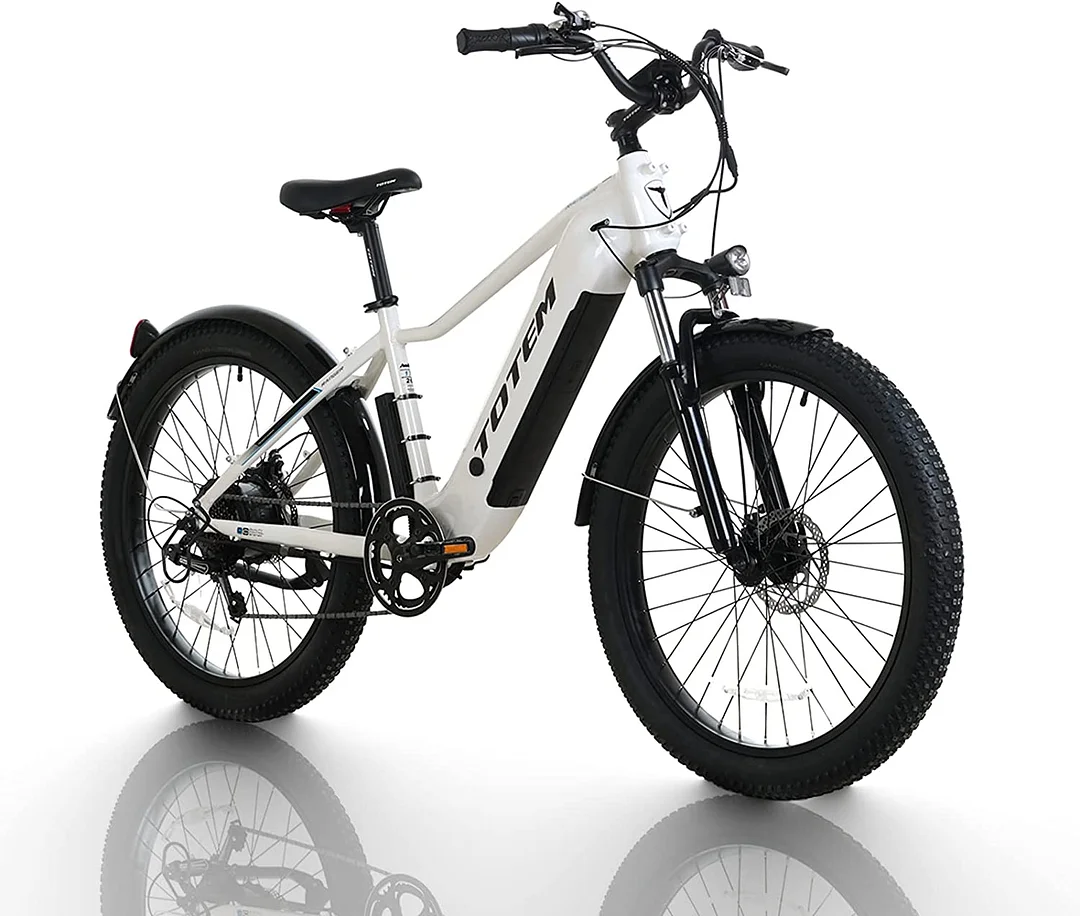 integrated battery electric bike