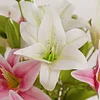 3D Printed 2 Heads Lily Home Event Artificial Flower