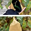 Special Bagging for Fruit--Anti-insect and Anti-bacteria, Waterproof and Anti-bird, Breathable and Hygienic