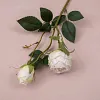 Autumn Vibe 2 Heads Burn Edge Stem Rose Artificial Flower