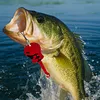 5pcs Metal Spoon Spinner Fishing Lure Fishing Wobblers Artificial Bait for Trout