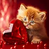 Love Dog Cat-Full Round Diamond Painting 30*30CM