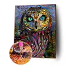 uk.everydayedeals (Limited Stock)Diamond Painting - Full Square - Splicing Owl