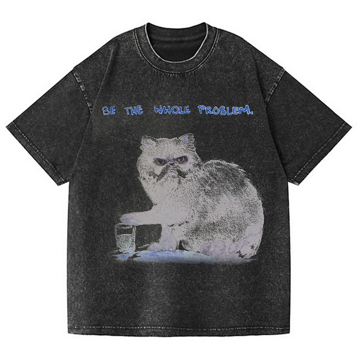 Be The Whole Problem Men's washed T-shirt