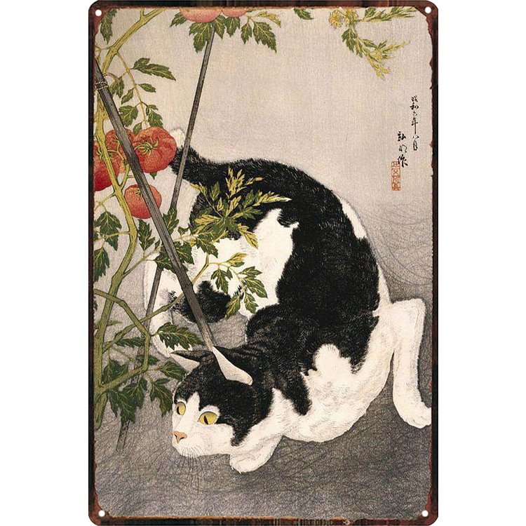 Cat With A Tomato Plant - Vintage Tin Signs/Wooden Signs - 7.9x11.8in & 11.8x15.7in