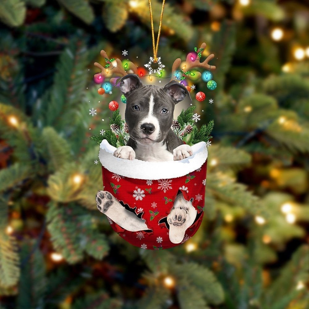 BLUE Nose Pitbull In Snow Pocket Christmas Ornament