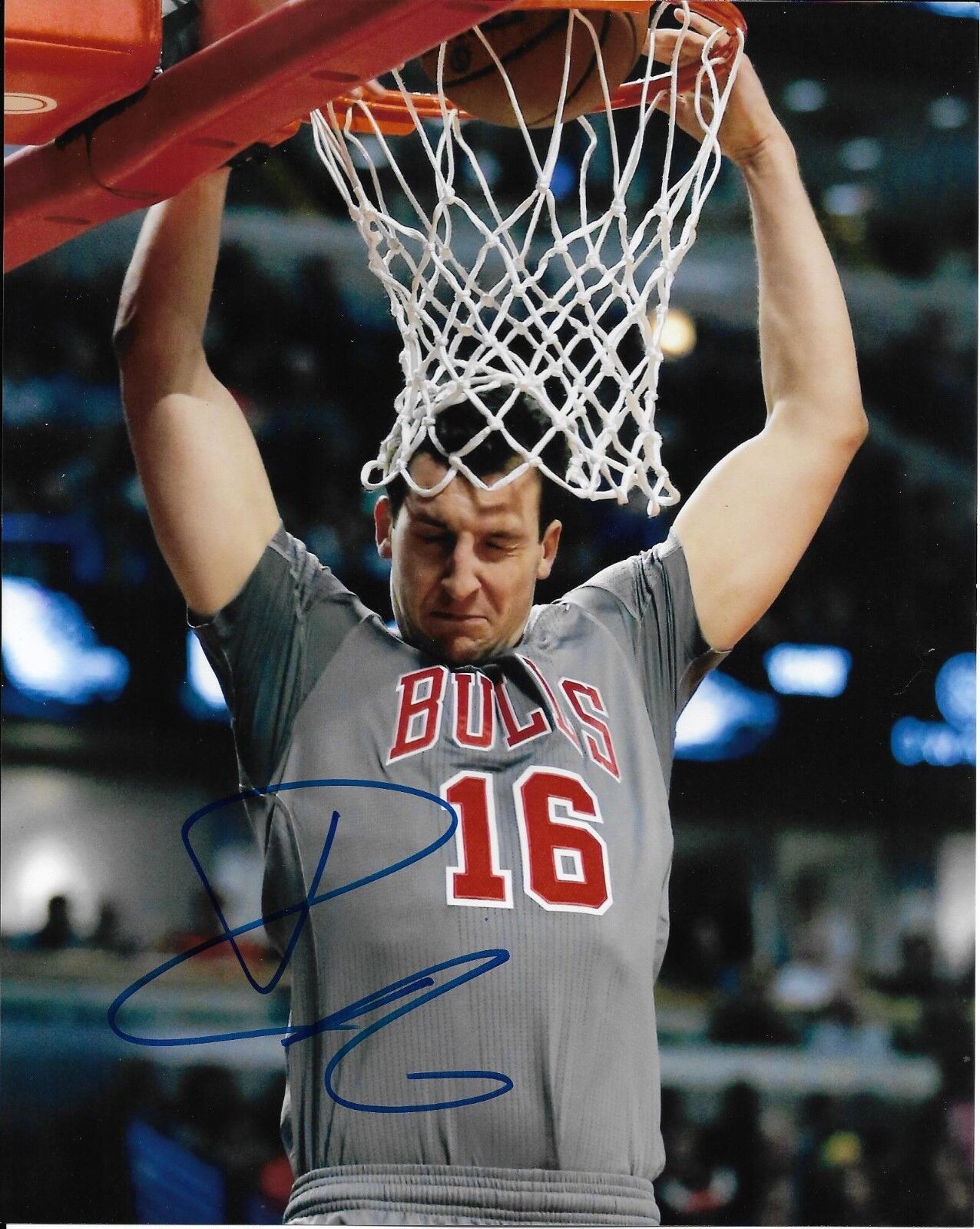 PAUL ZIPSER signed autographed CHICAGO BULLS 8x10 Photo Poster painting BASKETBALL w/COA