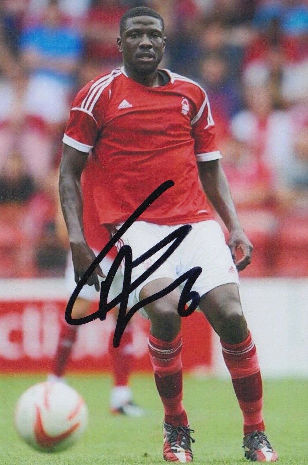 GUY MOUSSI HAND SIGNED 6X4 Photo Poster painting - FOOTBALL AUTOGRAPH - NOTTINGHAM FOREST 1.