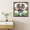 NFL football fille ronde drill diamond painting-40 * 40cm