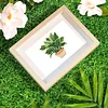 12pcs Potted Plant 5D DIY Square Drill Diamond Painting Kits for Adults Beginners Home Decor Diamonds Paintings Gem Art 5.91x7.09in