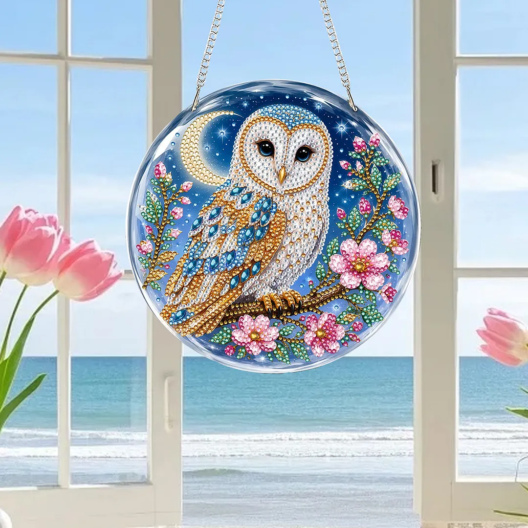 Diamond Painting Kit Moon Owl Sun Ornament for Adults 7.87x7.87in
