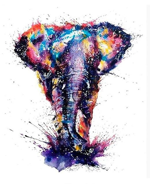 

Color Elephant – Paint By Numbers - 40*50CM, 501 Original