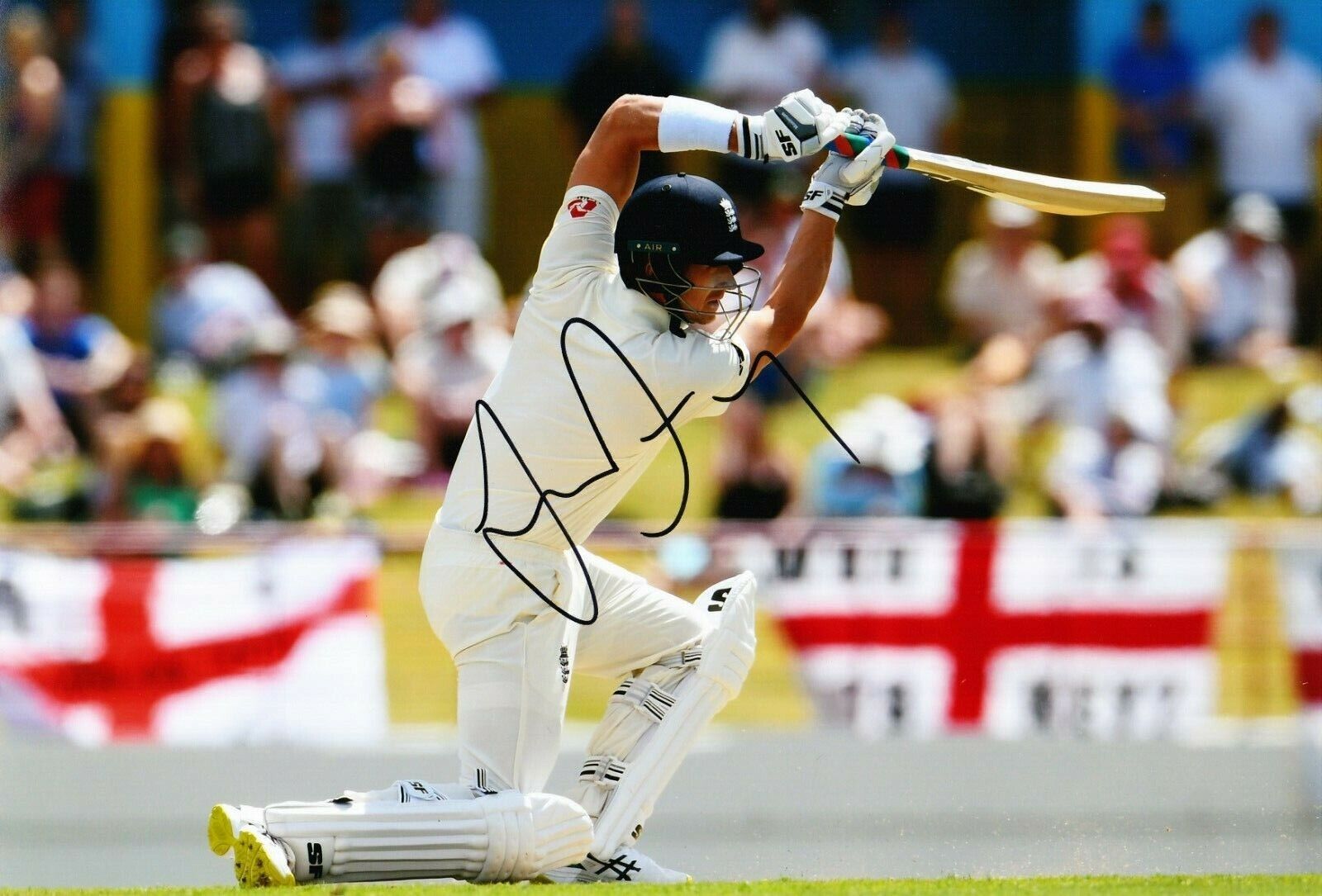 Joe Denly Signed 12X8 Photo Poster painting England CRICKET Ashes AFTAL COA (2648)