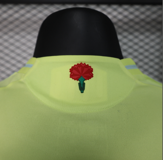 2024 Spain Home Player Version Men's Football T-Shirt Thai Quality