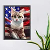 Diamond Painting -DIY Full Round Drill US Flag
