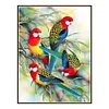 Colorful Birds-Partial Round Diamond Painting
