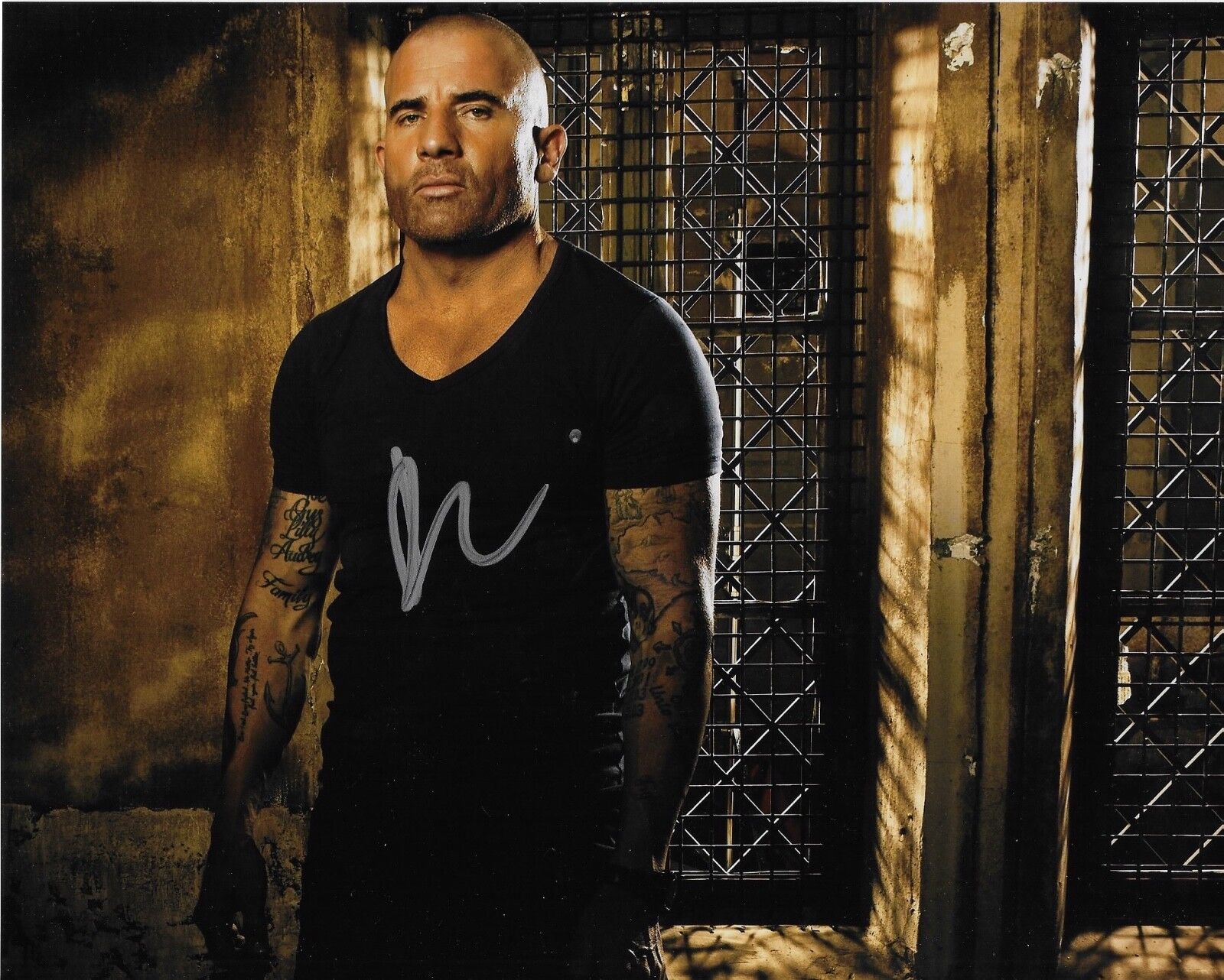 DOMINIC PURCELL 'PRISION BREAK' LINCOLN BURROWS SIGNED 8X10 PICTURE *COA 1