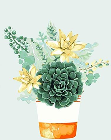 

Succulent Bouquet – Paint By Numbers - 40*50CM, 501 Original