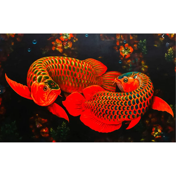 Goldfish  Full Round Diamond Painting 40*30CM