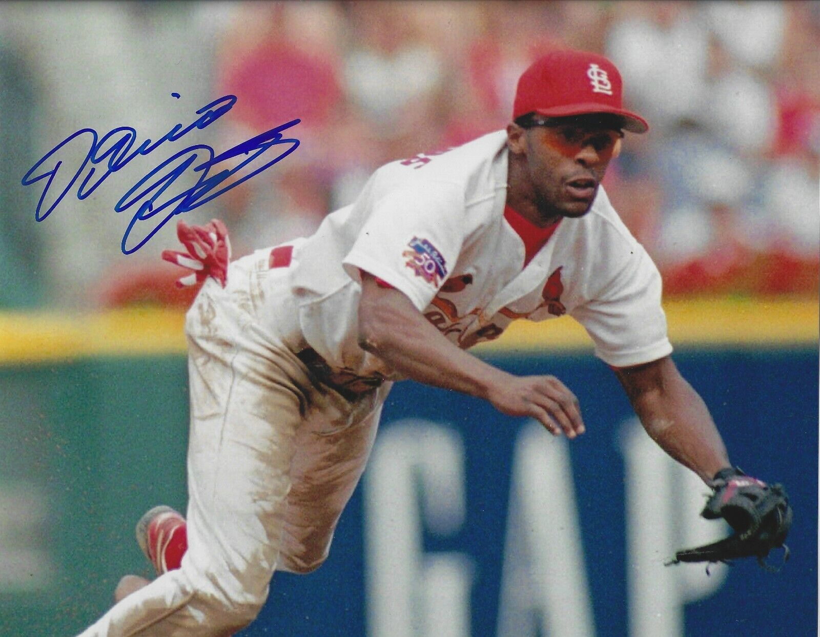 Autographed DELINO DESHIELDS St Louis Cardinals 8x10 Photo Poster painting - w/COA