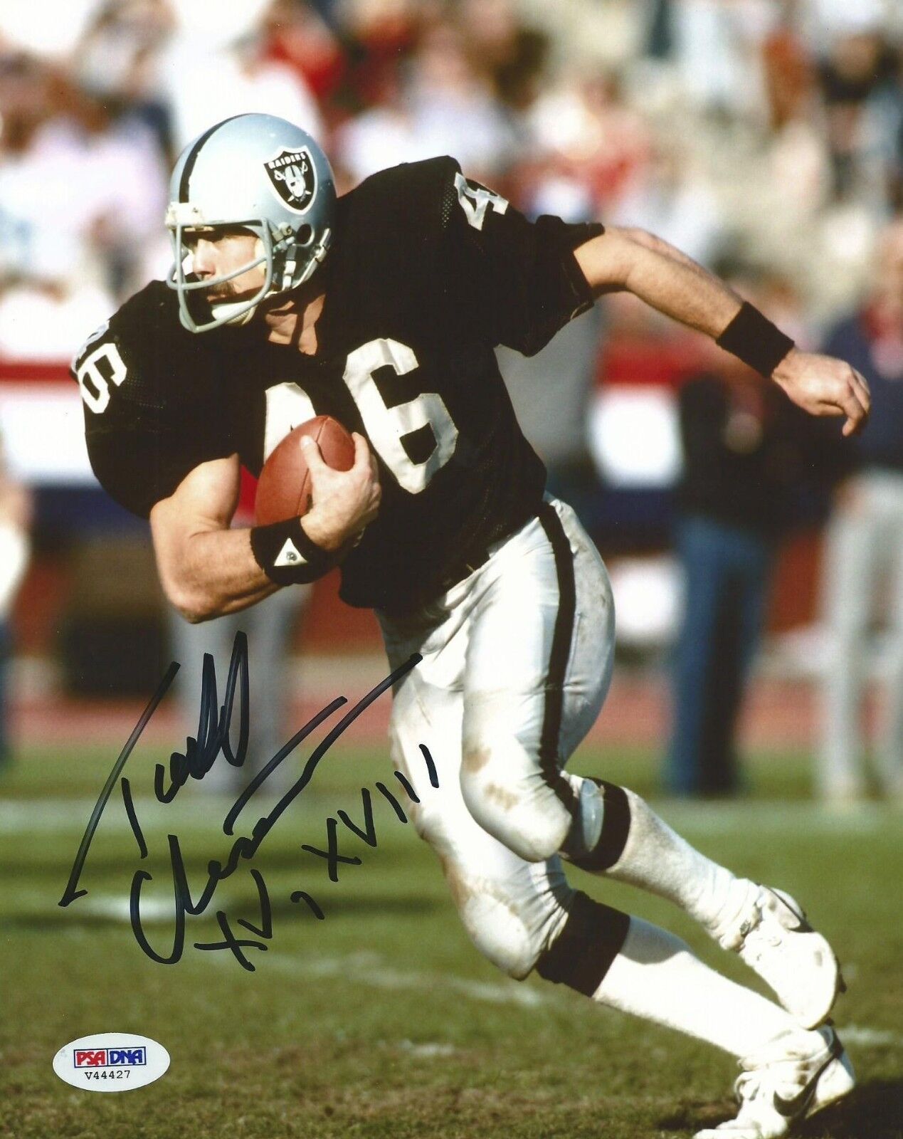 Todd Christensen Signed Raiders 8x10 Photo Poster painting PSA/DNA COA Super Bowl Autograph XV 1