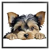 Yorkshire Terrier-11CT Stamped Cross Stitch 40*40cm/15.75*15.75in tapestrymarket