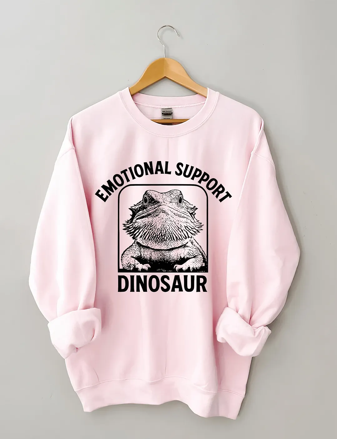 Emotional Support Dinosaur Sweatshirt