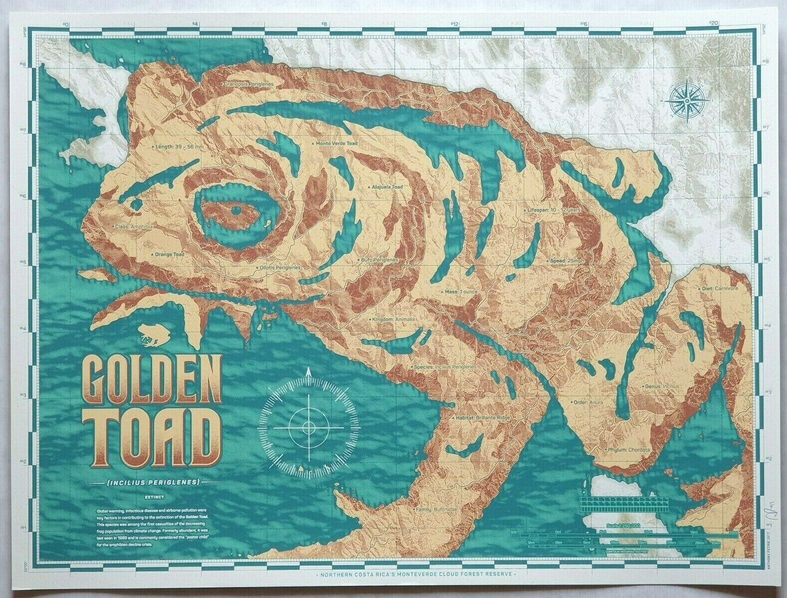 ANTHONY PETRIE - ANIMAL ATLAS II: GOLDEN TOAD Screen Print Poster Artist Proof