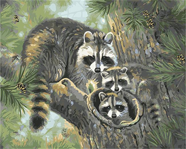 

Raccoon Family – Paint By Numbers - 40*50CM, 501 Original