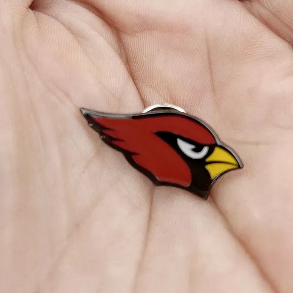 Foto del pin Pájaro Valiente Picudo