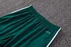 Joyfball 2026/2027 Algeria Half-Pull Training Suit Green Jersey