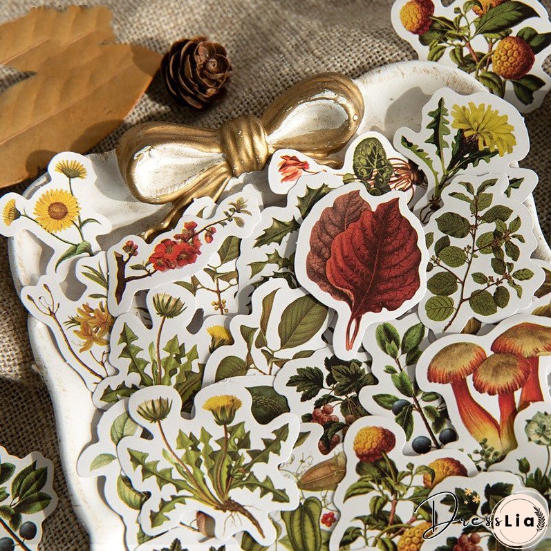 Boxed Stickers Retro Forest Plant Pocket Book