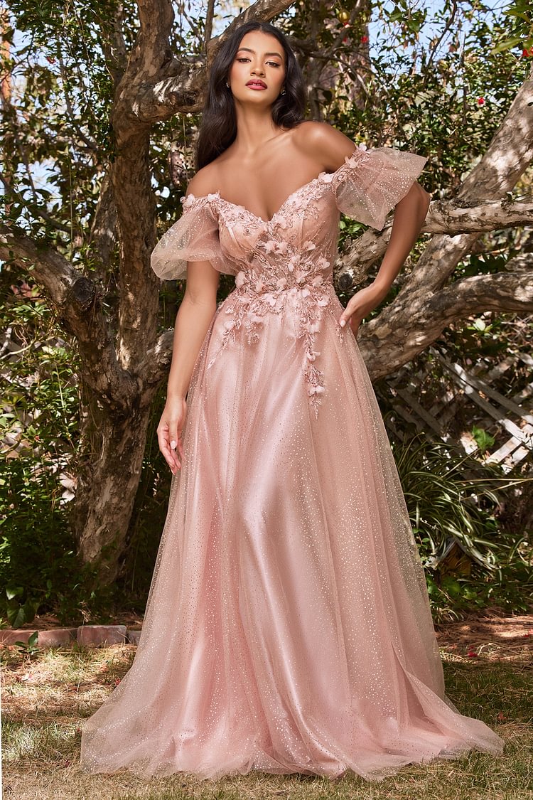 Off Shoulder Tulle Gown by Cinderella Divine CD0197