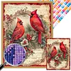 Diamond Painting-Square AB Drill Cardinal(35*45CM)