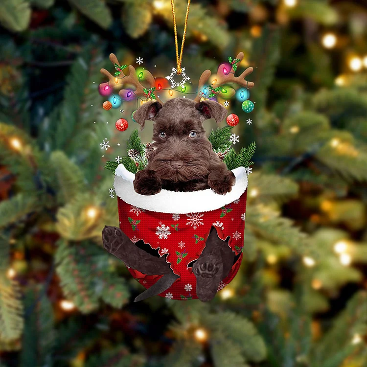 CHOCOLATE Miniature Schnauzer In Snow Pocket Christmas Ornament