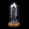 Swinging Jellyfish in a Bottle Mechanical 3D Model for Desktop Toys for Adults