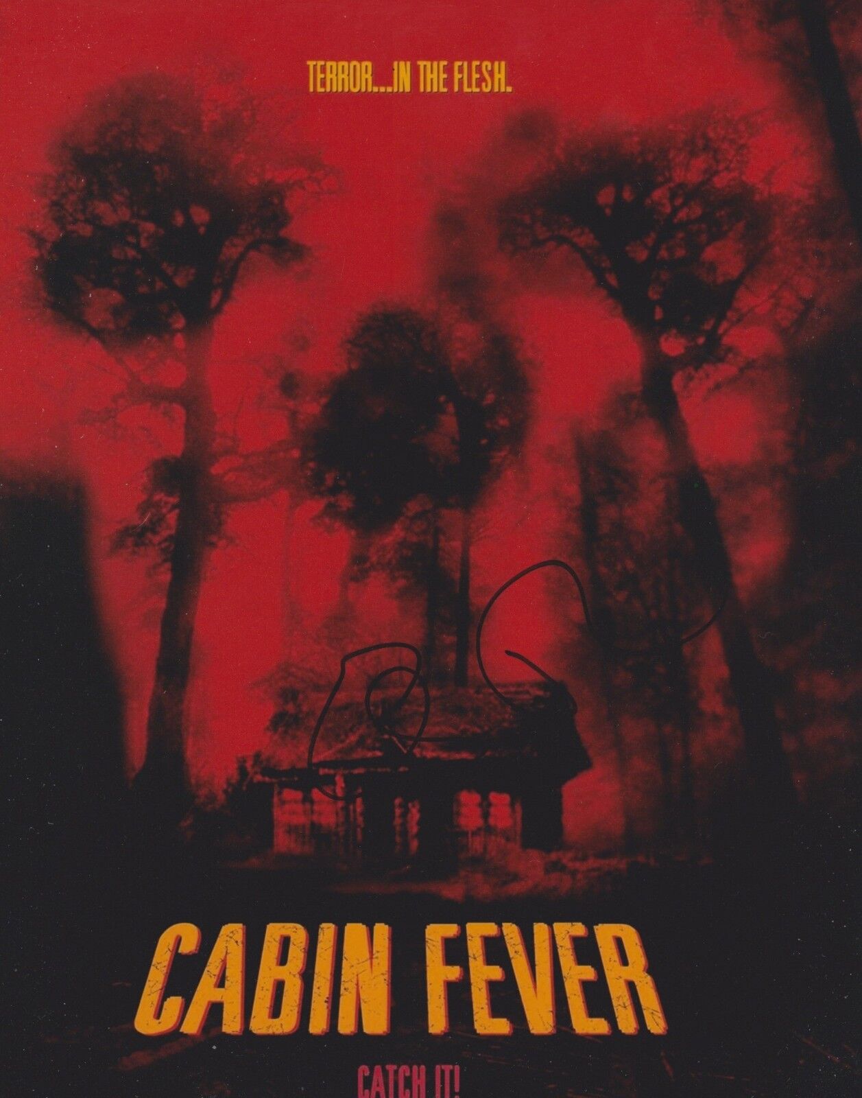 Eli Roth Signed Cabin Fever 10x8 Photo Poster painting AFTAL