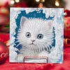 uk.everydayedeals 6Pcs DIY Diamond Painting Greeting Card - Owl Cat