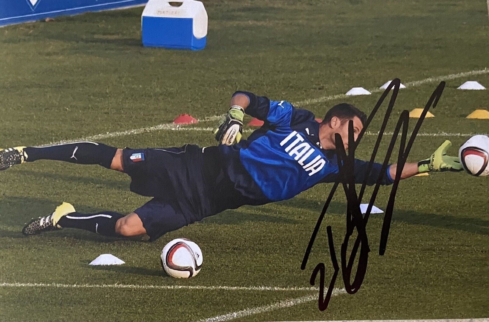 Daniele Padelli Hand Signed Italy 6X4 Photo Poster painting